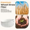 imageHomienly 10 inch Wheat Straw Dinner Plates Set of 8  Alternative to Plastic Microwave ampamp Dishwasher Safe Unbreakable Kids Plates with 4 Colors Classic BrightWhiteTexture