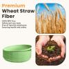 imageHomienly 10 inch Wheat Straw Dinner Plates Set of 8  Alternative to Plastic Microwave ampamp Dishwasher Safe Unbreakable Kids Plates with 4 Colors Classic BrightLight GreenTexture