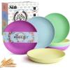imageHomienly 10 inch Wheat Straw Dinner Plates Set of 8  Alternative to Plastic Microwave ampamp Dishwasher Safe Unbreakable Kids Plates with 4 Colors Classic BrightMemphis Series