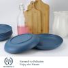 imageHomienly 10 inch Wheat Straw Dinner Plates Set of 8  Alternative to Plastic Microwave ampamp Dishwasher Safe Unbreakable Kids Plates with 4 Colors Classic BrightBlue