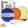 imageHomienly 10 inch Wheat Straw Dinner Plates Set of 8  Alternative to Plastic Microwave ampamp Dishwasher Safe Unbreakable Kids Plates with 4 Colors Classic BrightMondrian Series