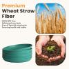 imageHomienly 10 inch Wheat Straw Dinner Plates Set of 8  Alternative to Plastic Microwave ampamp Dishwasher Safe Unbreakable Kids Plates with 4 Colors Classic BrightGreenTexture