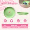imageHomienly 10 inch Wheat Straw Dinner Plates Set of 8  Alternative to Plastic Microwave ampamp Dishwasher Safe Unbreakable Kids Plates with 4 Colors Classic BrightLight GreenTexture
