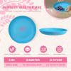 imageHomienly 10 inch Wheat Straw Dinner Plates Set of 8  Alternative to Plastic Microwave ampamp Dishwasher Safe Unbreakable Kids Plates with 4 Colors Classic BrightSky BlueTexture