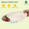 imageHomienly 10 inch Wheat Straw Dinner Plates Set of 8  Alternative to Plastic Microwave ampamp Dishwasher Safe Unbreakable Kids Plates with 4 Colors Classic BrightBeige