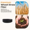 imageHomienly 10 inch Wheat Straw Dinner Plates Set of 8  Alternative to Plastic Microwave ampamp Dishwasher Safe Unbreakable Kids Plates with 4 Colors Classic BrightBlack