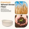 imageHomienly 10 inch Wheat Straw Dinner Plates Set of 8  Alternative to Plastic Microwave ampamp Dishwasher Safe Unbreakable Kids Plates with 4 Colors Classic BrightBeige