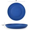 imageHomienly 10 inch Wheat Straw Dinner Plates Set of 8  Alternative to Plastic Microwave ampamp Dishwasher Safe Unbreakable Kids Plates with 4 Colors Classic BrightOcean
