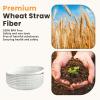 imageHomienly 10 inch Wheat Straw Dinner Plates Set of 8  Alternative to Plastic Microwave ampamp Dishwasher Safe Unbreakable Kids Plates with 4 Colors Classic BrightWhiteTexture