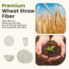 imageHomienly 40Piece Wheat Straw Dinnerware Sets Unbreakable Reusable Dinnerware Set Service for 8 Kitchen Cups Plates and Bowls Set Dishwasher Microwave Safe Dishes Set for Camping Party  MondrianBeige
