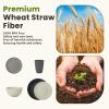 imageHomienly 40Piece Wheat Straw Dinnerware Sets Unbreakable Reusable Dinnerware Set Service for 8 Kitchen Cups Plates and Bowls Set Dishwasher Microwave Safe Dishes Set for Camping Party  MondrianGrey Stone