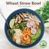 imageHomienly Large Salad Bowls Large Soup Bowls Set of 8Wheat Straw BowlsServing Bowl Set for Wedding Parties 60 Oz Big Bowl for Kitchen Salad Soup Microwave and Dishwasher SafeMulti ColorBlue