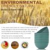 imageHomienly Large Salad Bowls Large Soup Bowls Set of 8Wheat Straw BowlsServing Bowl Set for Wedding Parties 60 Oz Big Bowl for Kitchen Salad Soup Microwave and Dishwasher SafeMulti ColorGreen