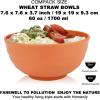 imageHomienly Large Salad Bowls Large Soup Bowls Set of 8Wheat Straw BowlsServing Bowl Set for Wedding Parties 60 Oz Big Bowl for Kitchen Salad Soup Microwave and Dishwasher SafeMulti ColorMulticolor