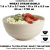 imageHomienly Large Salad Bowls Large Soup Bowls Set of 8Wheat Straw BowlsServing Bowl Set for Wedding Parties 60 Oz Big Bowl for Kitchen Salad Soup Microwave and Dishwasher SafeMulti ColorBeige