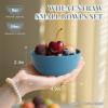imageHomienly Large Salad Bowls Large Soup Bowls Set of 8Wheat Straw BowlsServing Bowl Set for Wedding Parties 60 Oz Big Bowl for Kitchen Salad Soup Microwave and Dishwasher SafeMulti ColorMulticolorMatte