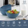 imageHomienly Wheat Straw Bowls Set Serving Bowls Plastic Bowls Reusable 26oz Microwave ampamp Dishwasher Safe Cereal Bowls Unbreakable for CerealSaladFruitSoup Bowls Modern Color6 PCSBlue