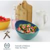 imageHomienly Wheat Straw Bowls Set Serving Bowls Plastic Bowls Reusable 26oz Microwave ampamp Dishwasher Safe Cereal Bowls Unbreakable for CerealSaladFruitSoup Bowls Modern Color4 PCSMulti