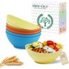 imageHomienly Wheat Straw Bowls Set Serving Bowls Plastic Bowls Reusable 26oz Microwave ampamp Dishwasher Safe Cereal Bowls Unbreakable for CerealSaladFruitSoup Bowls Modern Color6 PCSShoreline Color