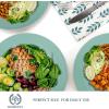 imageHomienly Wheat Straw Dinner Plates Set of 8 10 Inch Microwave and Dishwasher Safe Unbreakable Kids Plates 4 Colors Multi MS 01Green