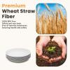 imageHomienly Wheat Straw Dinner Plates Set of 8 10 Inch Microwave and Dishwasher Safe Unbreakable Kids Plates 4 Colors Multi MS 01White