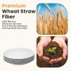 imageHomienly Wheat Straw Dinner Plates Set of 8 10 Inch Microwave and Dishwasher Safe Unbreakable Kids Plates 4 Colors Multi MS 01White
