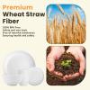 imageHomienly Wheat Straw Plates and Bowls Sets Dishes Set for 8 Wheat Straw Dinnerware Set for Kitchen 32Piece  Deep Plates Sets Cereal Bowls with Drinking Cups Microwave and Dishwasher Safe BlackWhite