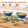 imageHomienly Wheat Straw Bowls Sets 6 Pieces Wheat Straw Salad Bowls MultiSize Bowls for Kitchen Camping Mixing Unbreakable Bowl Set for Salad SnackCereal Fruit Microwave Safe Island ThemeIsland Theme
