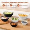 imageHomienly Wheat Straw Bowls Sets 6 Pieces Wheat Straw Salad Bowls MultiSize Bowls for Kitchen Camping Mixing Unbreakable Bowl Set for Salad SnackCereal Fruit Microwave Safe Island ThemePanda Theme