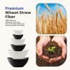 imageHomienly Wheat Straw Bowls Sets 6 Pieces Wheat Straw Salad Bowls MultiSize Bowls for Kitchen Camping Mixing Unbreakable Bowl Set for Salad SnackCereal Fruit Microwave Safe Island ThemePanda Theme