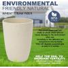 imageHomienly Wheat Straw Cups 8 PCS Plastic Cups Unbreakable Drinking Cup Reusable Dishwasher Safe Water Glasses with 4 Colors 12 OZBeige