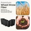 imageHomienly Wheat Straw Cups Set of 8 Unbreakable Drinking Cups Reusable Dishwasher Safe Water Glasses Kids Size 8 OZBlack