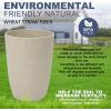 imageHomienly Wheat Straw Cups Set of 8 Unbreakable Drinking Cups Reusable Dishwasher Safe Water Glasses Kids Size 8 OZColorful
