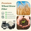 image:imageHomienly Wheat Straw Dinnerware Sets 40 PCS Plates and Bowls Sets with Cup Set and Dipping Bowls Unbreakable Camping Dishes Microwave and Dishwasher Safe Dinnerware Set for Dinner Outdoor BeigeGery Stone