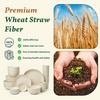 image:imageHomienly Wheat Straw Dinnerware Sets 40 PCS Plates and Bowls Sets with Cup Set and Dipping Bowls Unbreakable Camping Dishes Microwave and Dishwasher Safe Dinnerware Set for Dinner Outdoor BeigeBeige