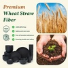 image:imageHomienly Wheat Straw Dinnerware Sets 40 PCS Plates and Bowls Sets with Cup Set and Dipping Bowls Unbreakable Camping Dishes Microwave and Dishwasher Safe Dinnerware Set for Dinner Outdoor BeigeBlack