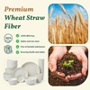 image:imageHomienly Wheat Straw Dinnerware Sets 40 PCS Plates and Bowls Sets with Cup Set and Dipping Bowls Unbreakable Camping Dishes Microwave and Dishwasher Safe Dinnerware Set for Dinner Outdoor BeigeWhite