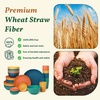 image:imageHomienly Wheat Straw Dinnerware Sets 40 PCS Plates and Bowls Sets with Cup Set and Dipping Bowls Unbreakable Camping Dishes Microwave and Dishwasher Safe Dinnerware Set for Dinner Outdoor BeigeMulticolor